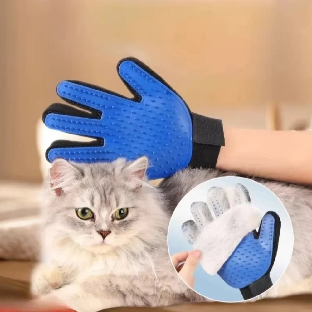 PET GROOMING