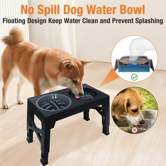 adjustable elevated dog feeder