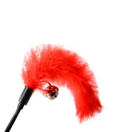 interactive cat toy wand with feather