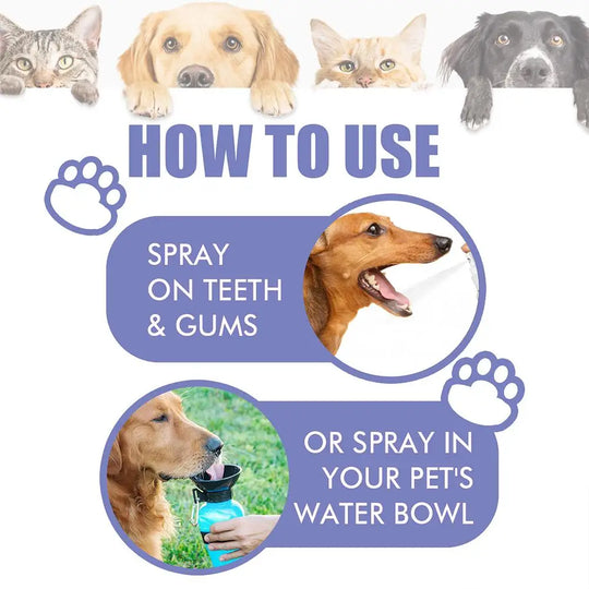 dog dental spray for plaque and tartar