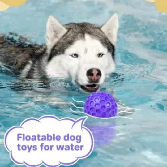 indestructible interactive rubber dog toy