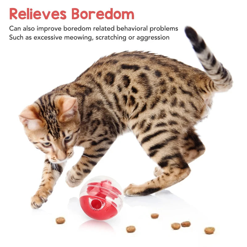 interactive cat treat dispensing ball