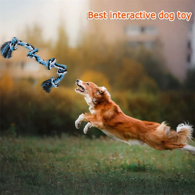 indestructible dog chew toys for medium large dogs