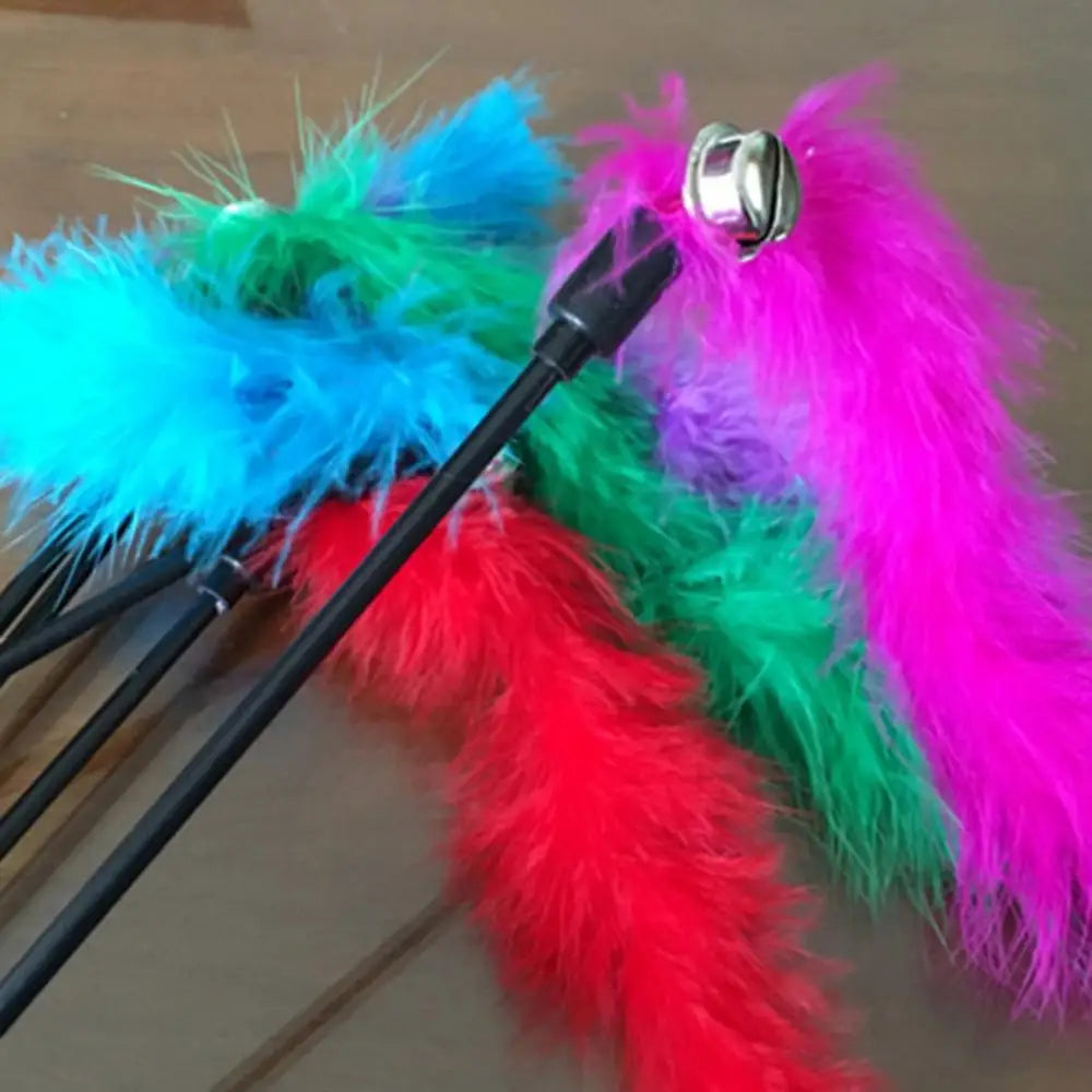 interactive cat toy wand with feather