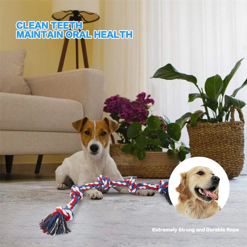 indestructible dog chew toys for medium large dogs
