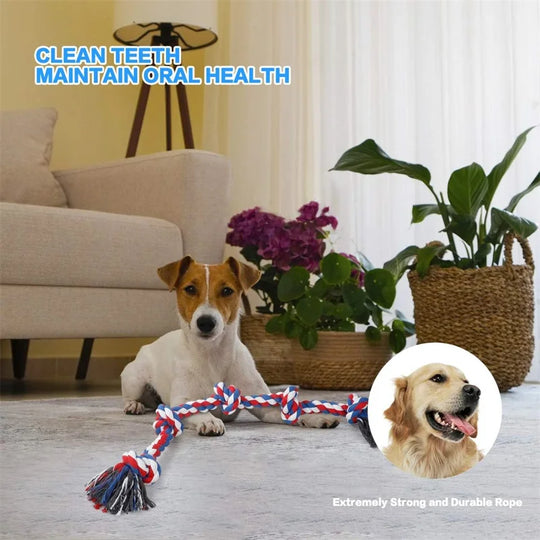 indestructible dog chew toys for medium large dogs