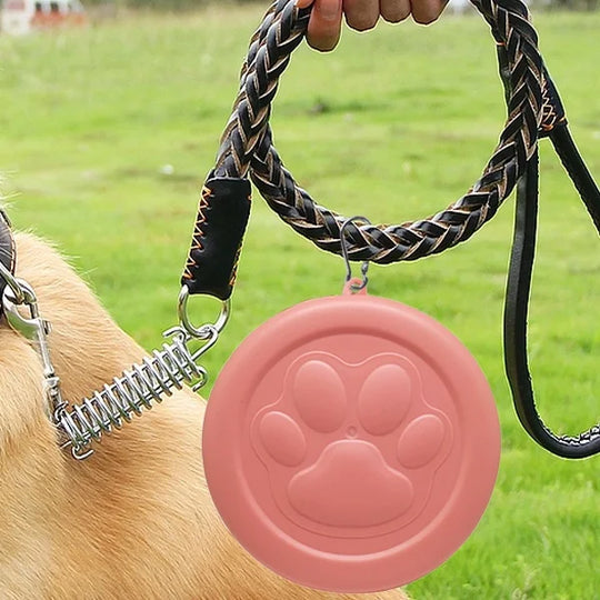 portable outdoor pet bowl 2-in-1 Travel Dog