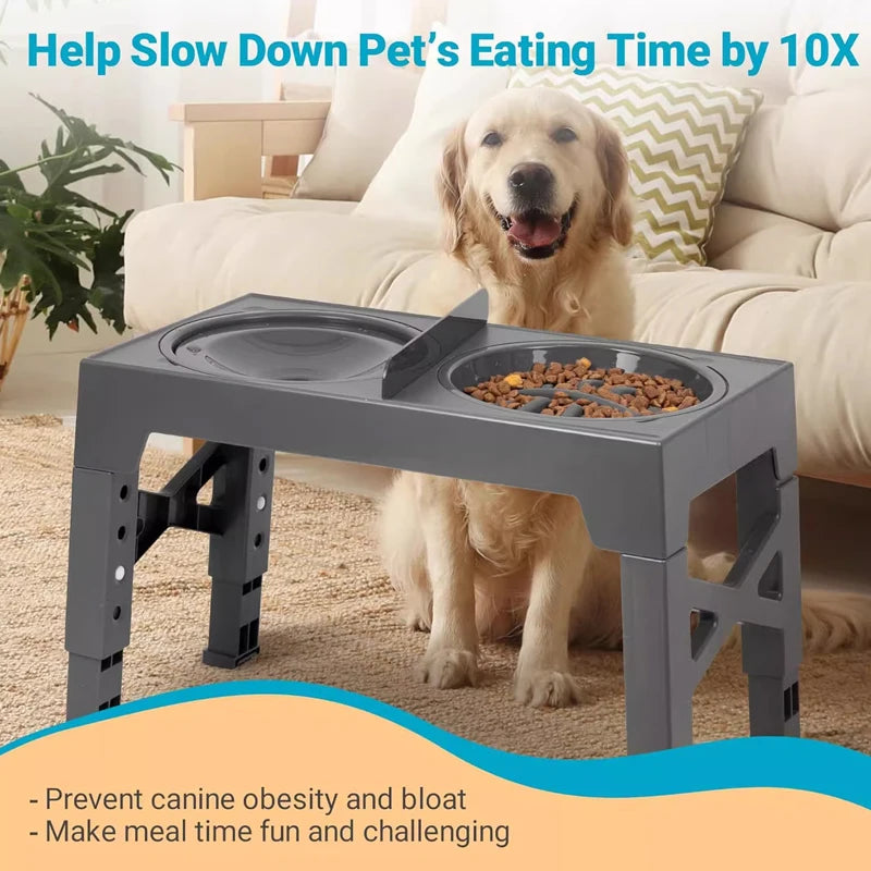 adjustable elevated dog feeder