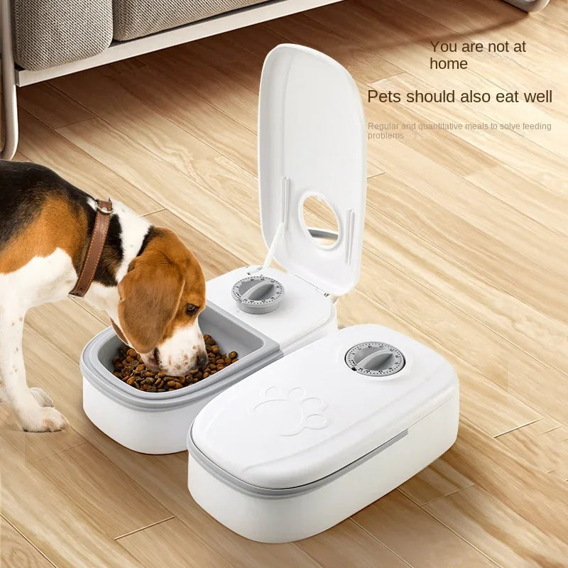 automatic dog cat feeder water bowl
