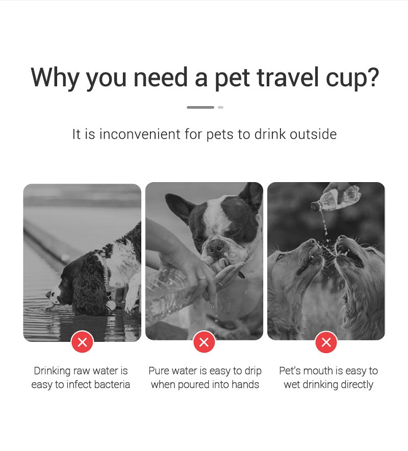 portable dog water bottle outdoor