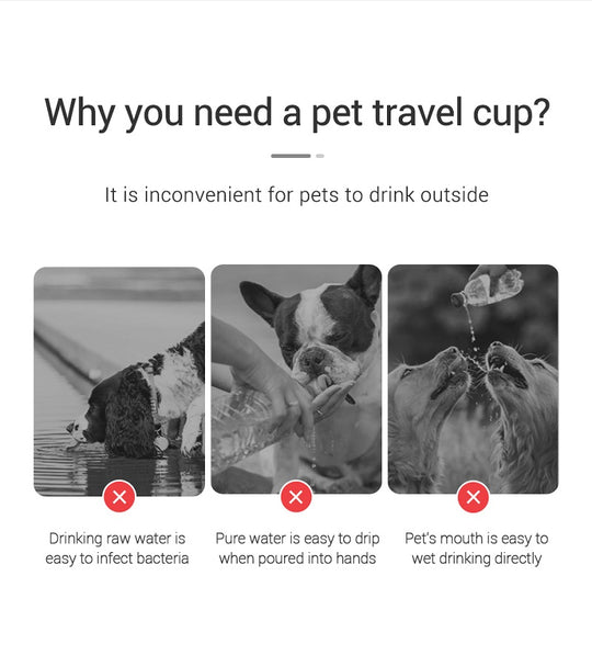 portable dog water bottle outdoor