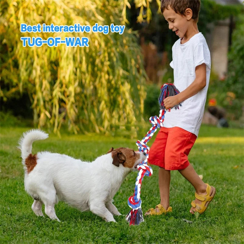 indestructible dog chew toys for medium large dogs