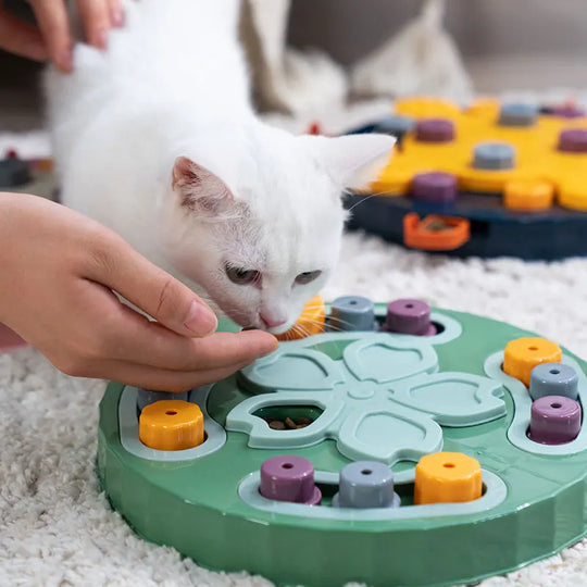 interactive cat dog puzzle toy