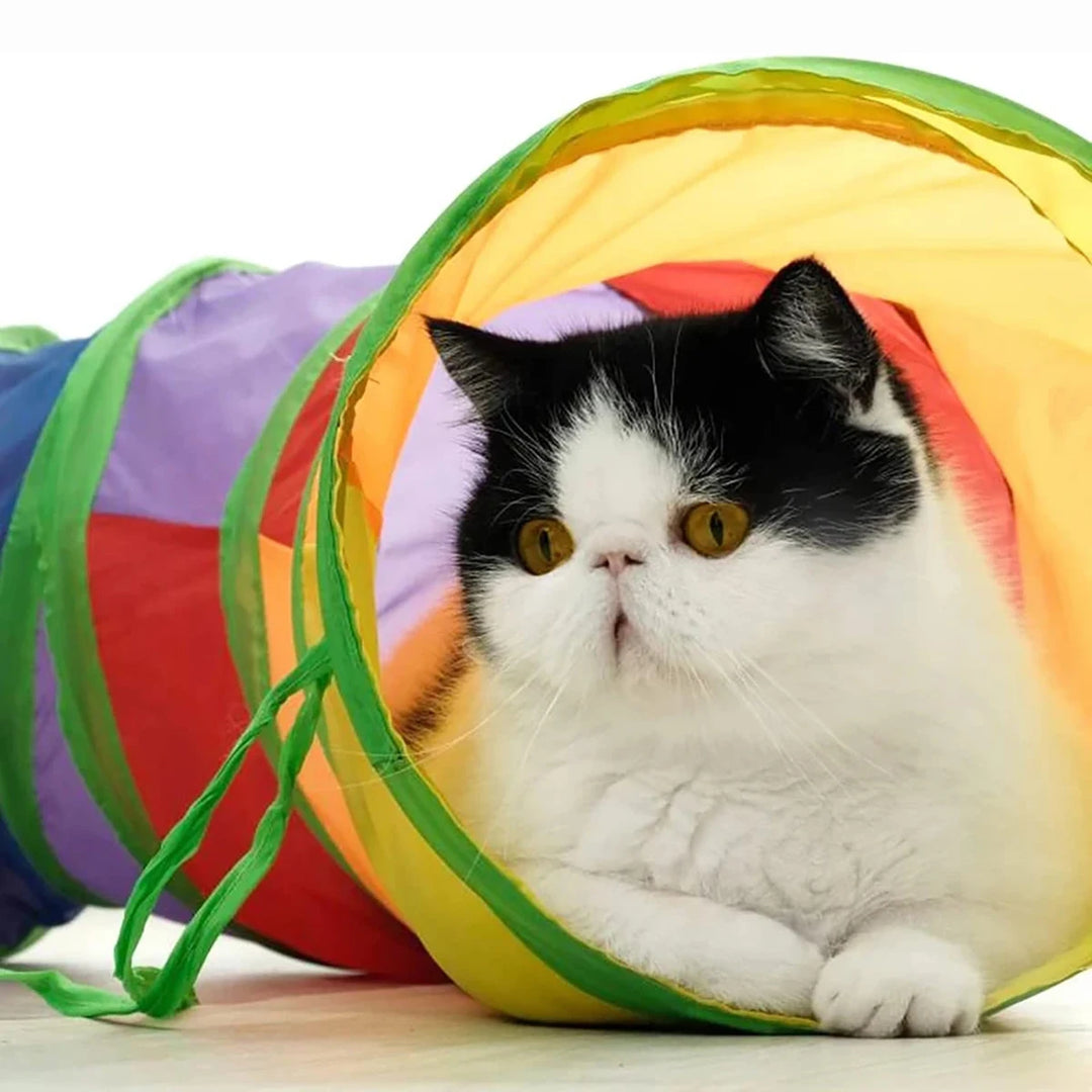 Cat Tunnel Tube Foldable Cat Toys Kitty Training