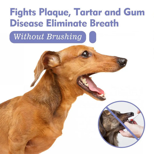 dog dental spray for plaque and tartar
