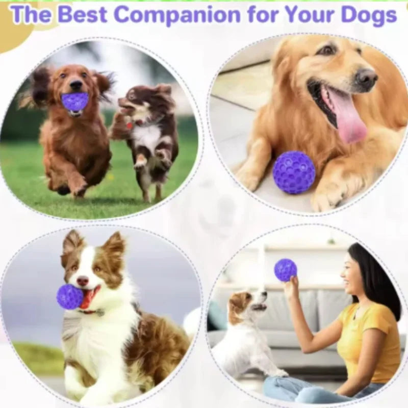 indestructible interactive rubber dog toy