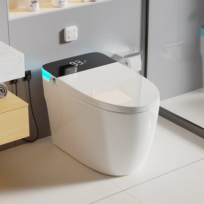 Toilet Seat Heated, Temperature Display, Night Light