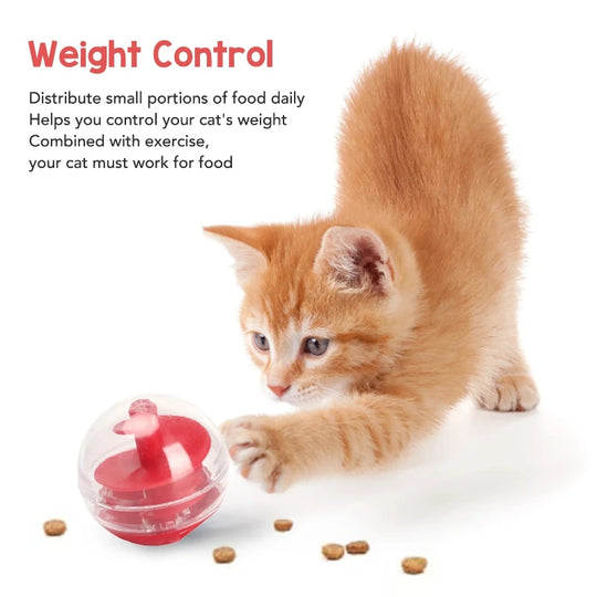 interactive cat treat dispensing ball