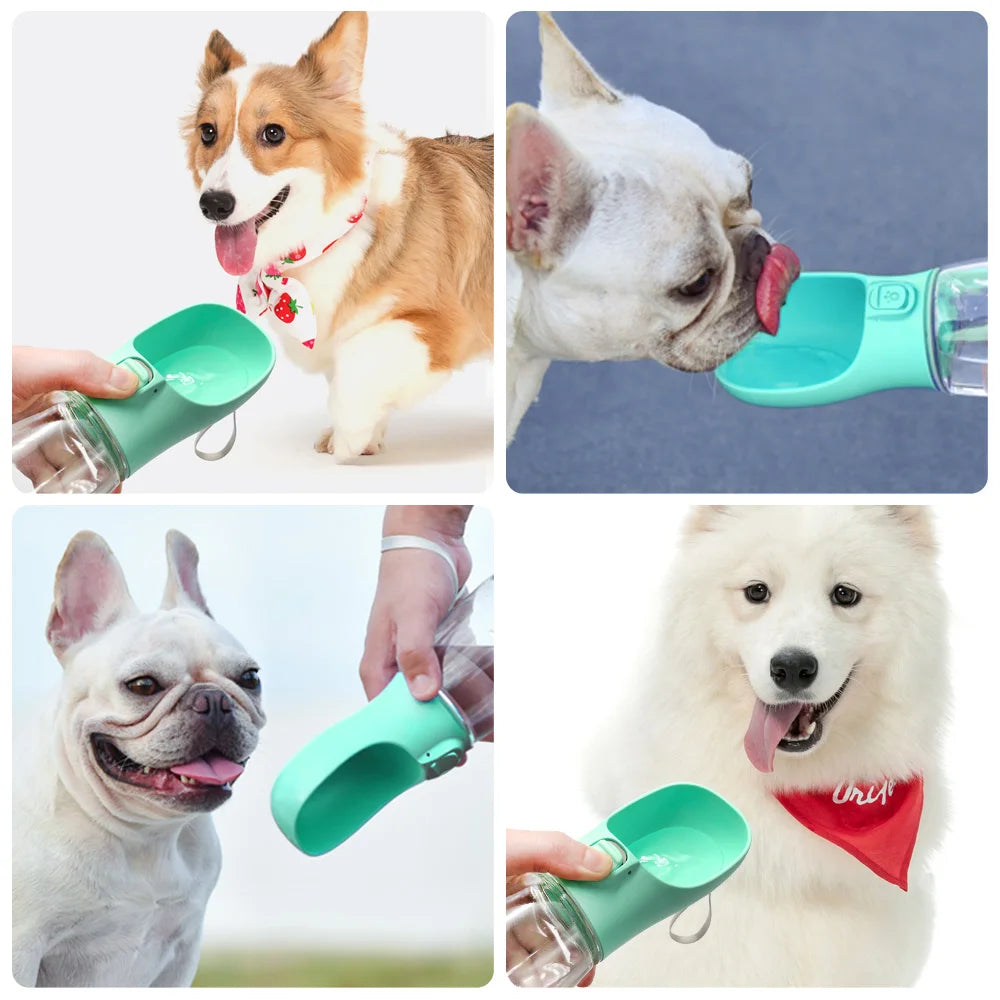 portable dog water bottle outdoor