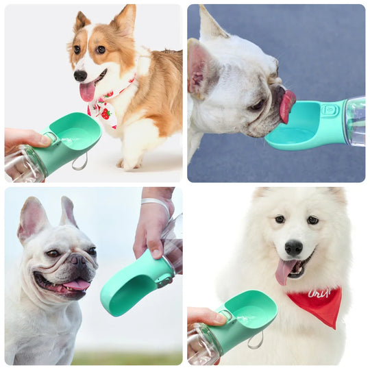 portable dog water bottle outdoor
