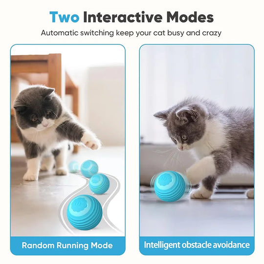 interactive automatic cat toy ball