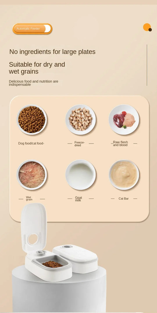 automatic dog cat feeder water bowl
