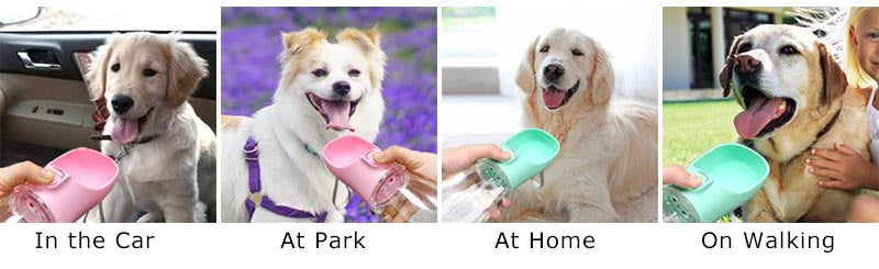 portable dog water bottle outdoor