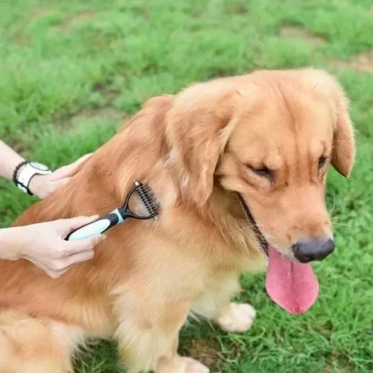 self cleaning deshedding brush for pets