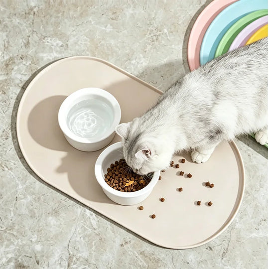 silicone pet feeding mat Non-Slip Waterproof