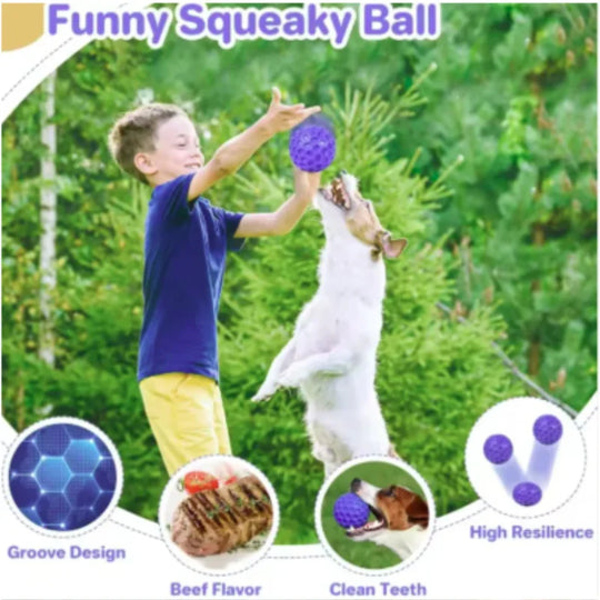 indestructible interactive rubber dog toy