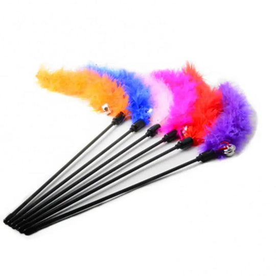 interactive cat toy wand with feather
