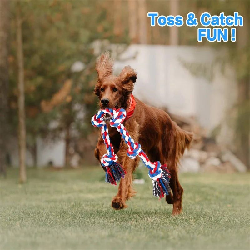 indestructible dog chew toys for medium large dogs
