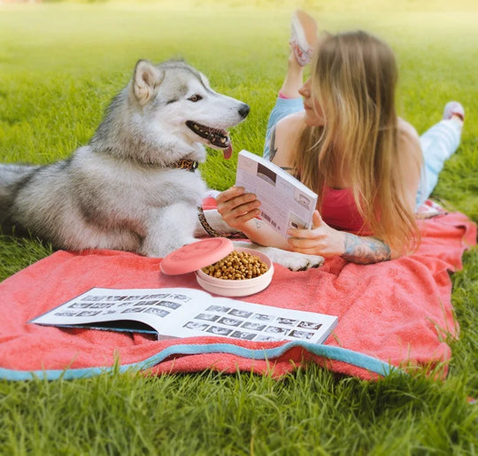 portable outdoor pet bowl 2-in-1 Travel Dog