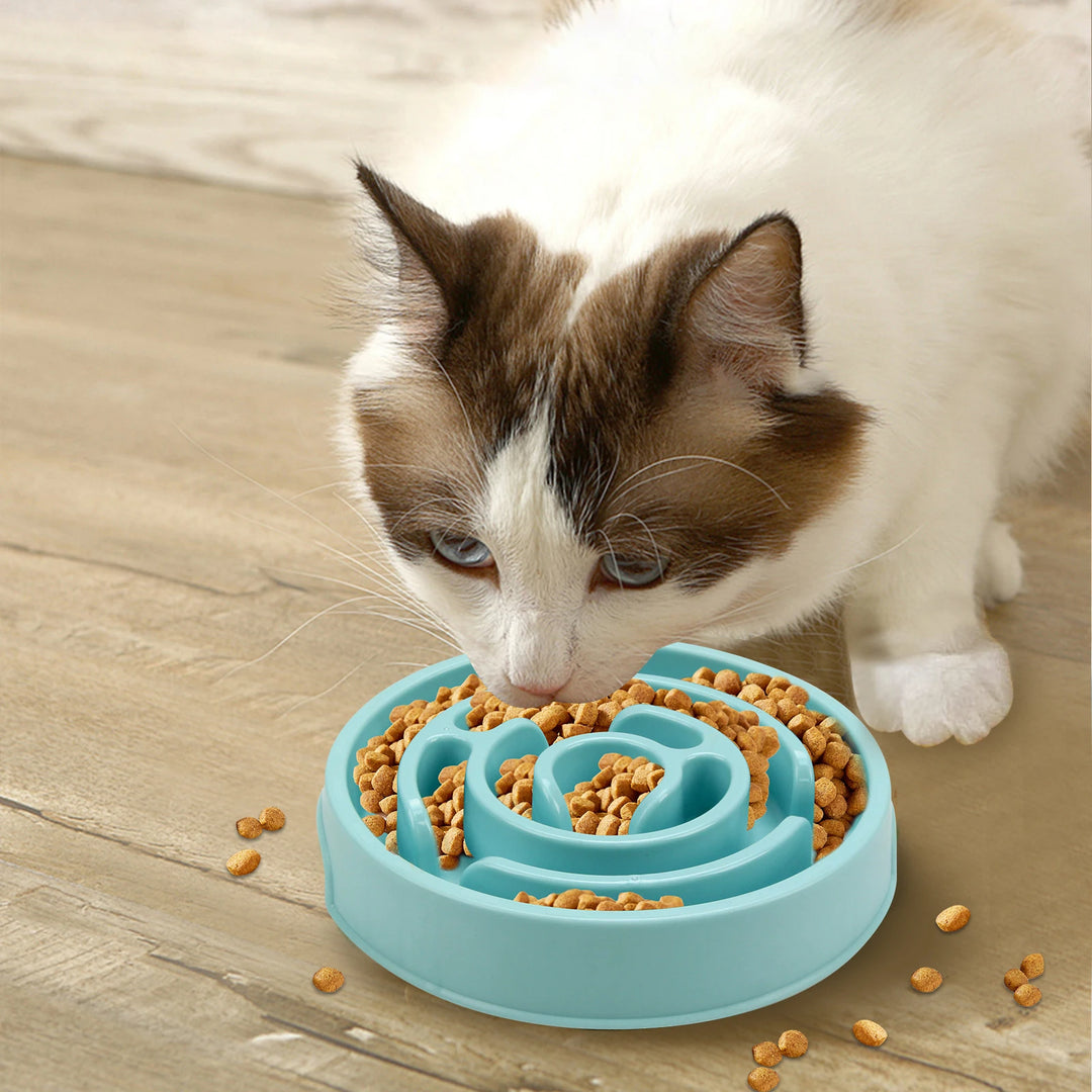 non slip slow feeder dog bowls