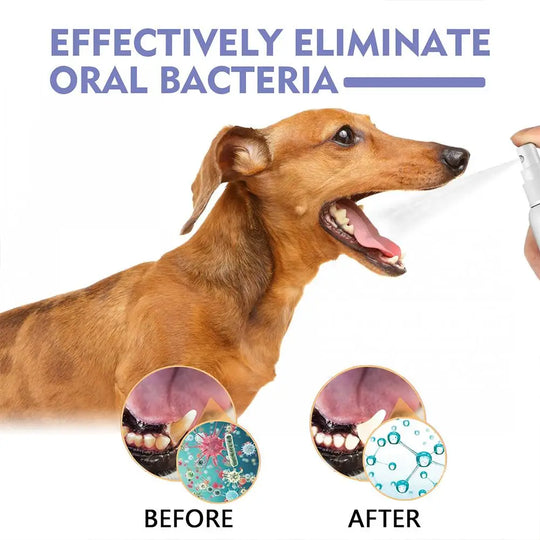 dog dental spray for plaque and tartar