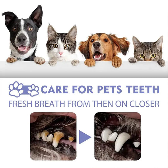 dog dental spray for plaque and tartar