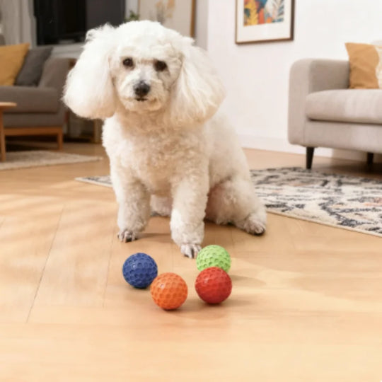 indestructible interactive rubber dog toy