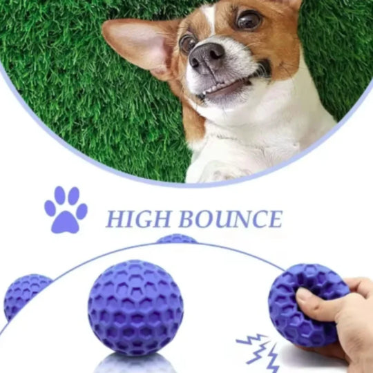 indestructible interactive rubber dog toy