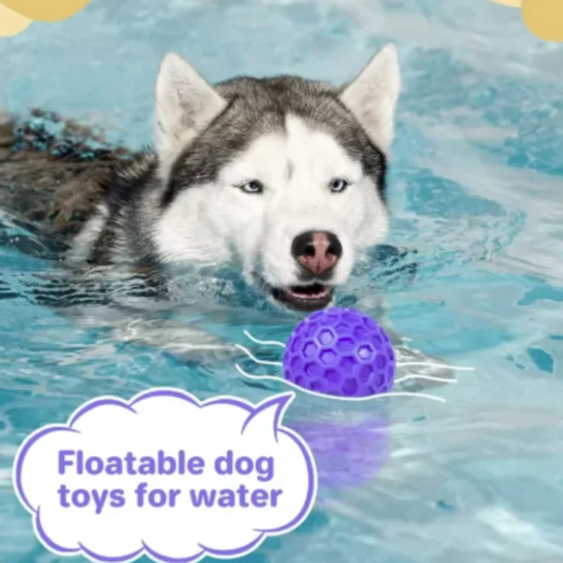 indestructible interactive rubber dog toy