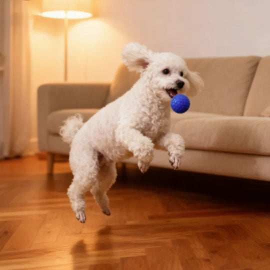 indestructible interactive rubber dog toy