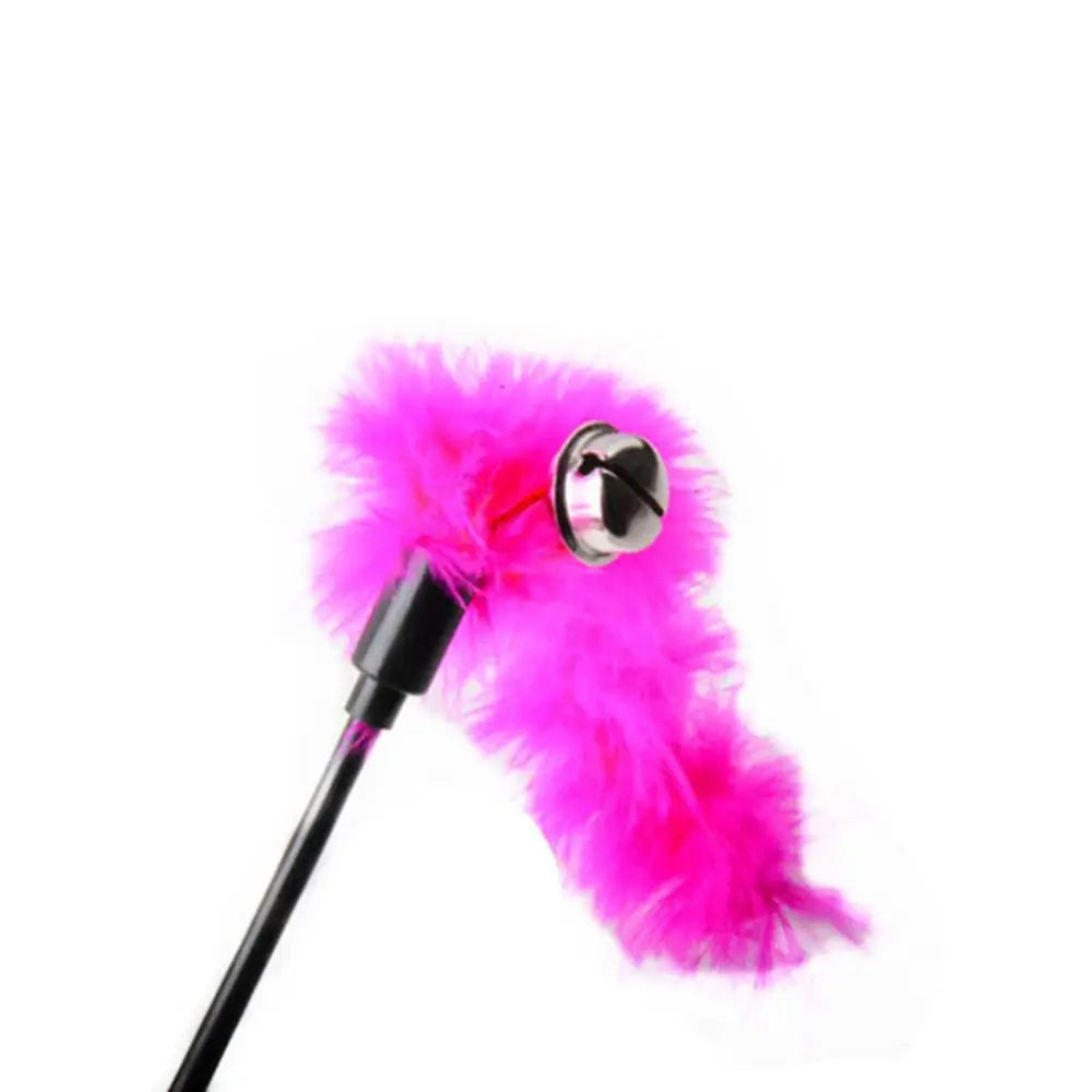 interactive cat toy wand with feather