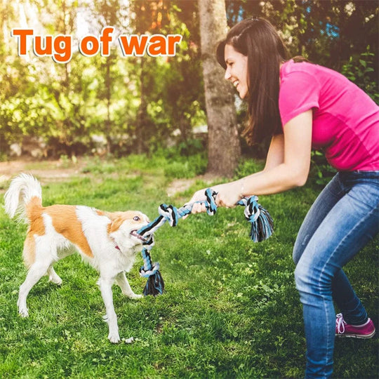 indestructible dog chew toys for medium large dogs