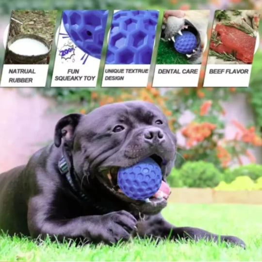 indestructible interactive rubber dog toy