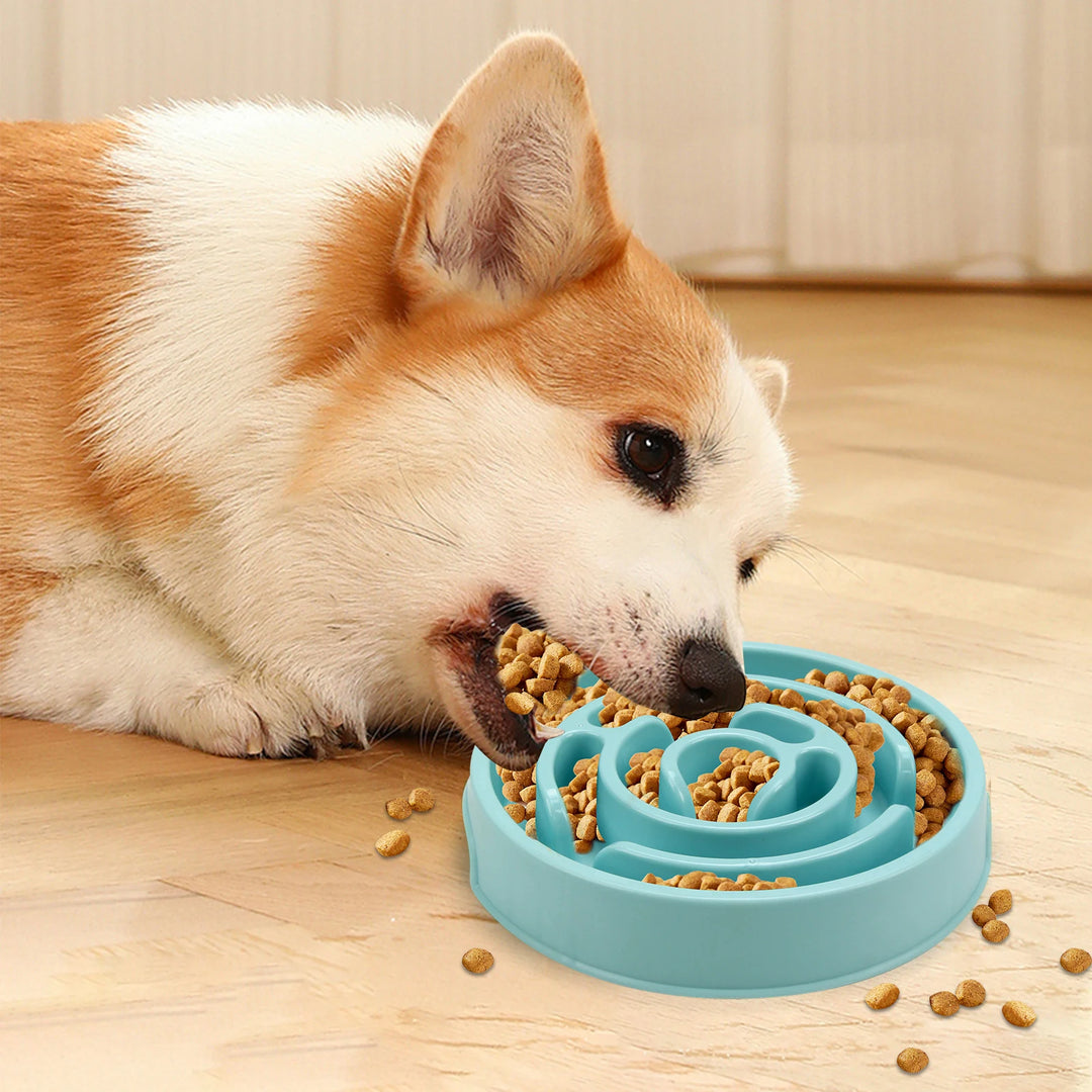 non slip slow feeder dog bowls