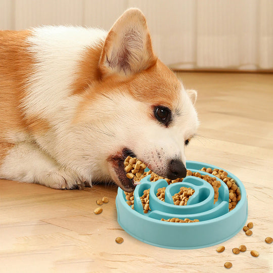 non slip slow feeder dog bowls