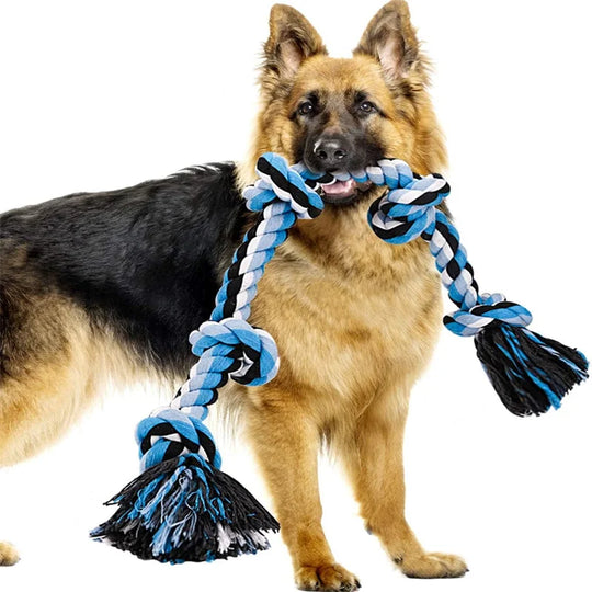 indestructible dog chew toys for medium large dogs