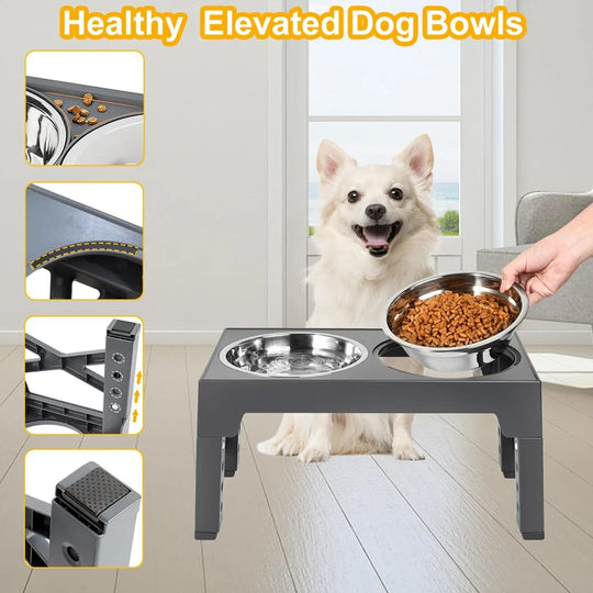 adjustable elevated dog feeder