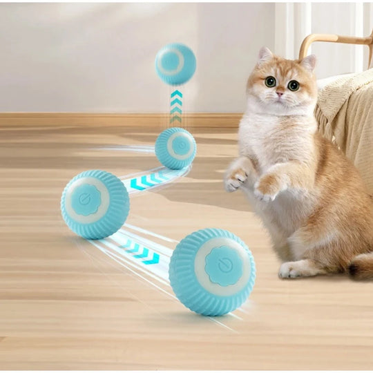 interactive automatic cat toy ball
