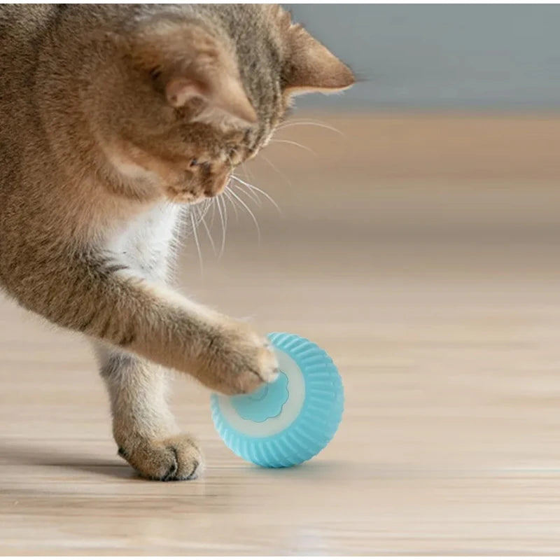 interactive automatic cat toy ball