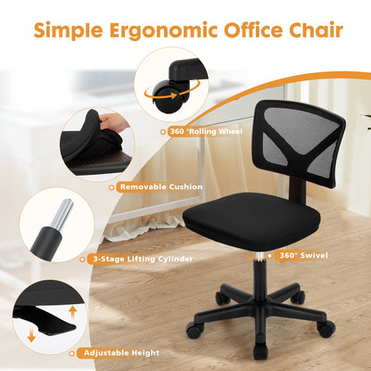 Computer Chair, Lumbar Support, Armless, Rolling Swivel